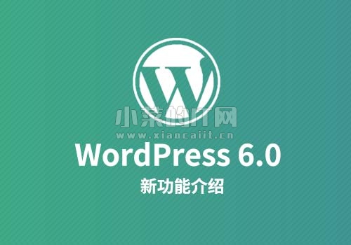 WordPress6.0新增文章图片过滤器